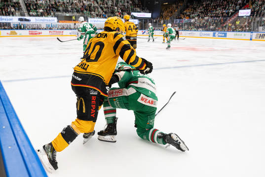 Skellefteås Andreas Wingerli och Rögles Brady Ferguson