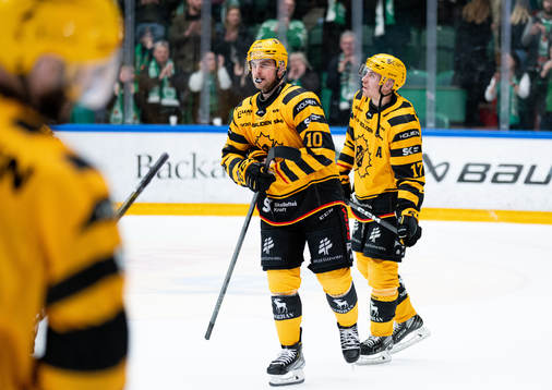 Skellefteås Joakim Lindström och Pär Lindholm deppar