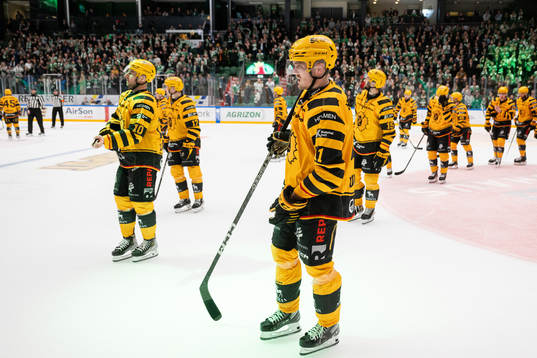 Skellefteås Max Lindholm deppar