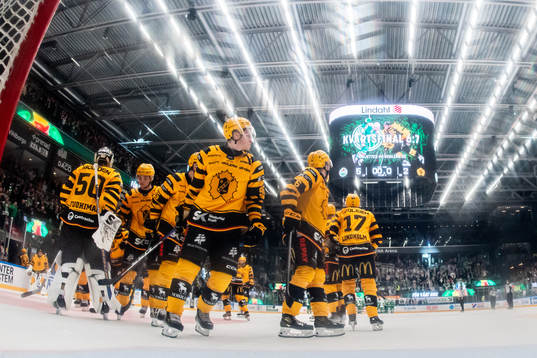 Skellefteås Rickard Hugg deppar