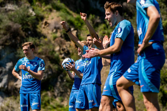 Marcus Holmgren Pedersen, Mohamed Elyounoussi and players
