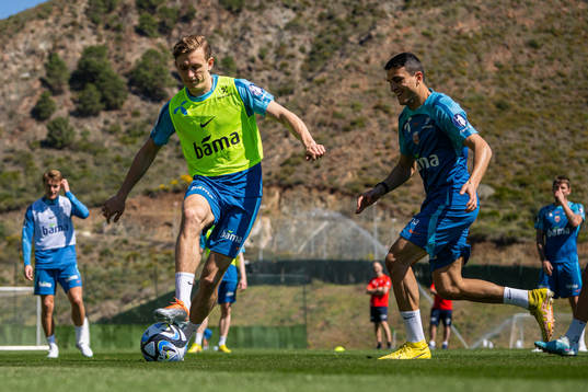 Marcus Holmgren Pedersen and Mohamed Elyounoussi of the