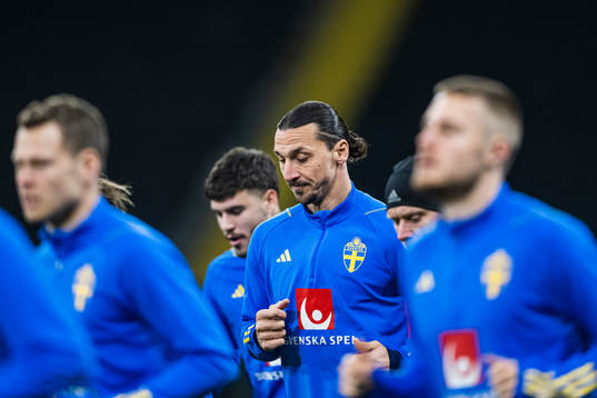Zlatan Ibrahimovic of the Swedish national football team