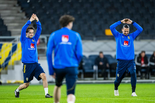 Zlatan Ibrahimovic and Hjalmar Ekdal of the Swedish