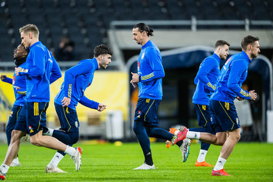 Zlatan Ibrahimovic and Edvin Kurtulus of the Swedish