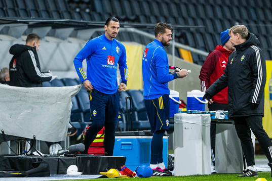 Zlatan Ibrahimovic of the Swedish national football team