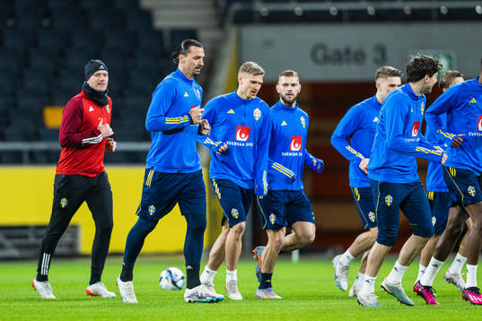 Zlatan Ibrahimovic of the Swedish national football team