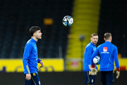 Edvin Kurtulus of the Swedish national football team