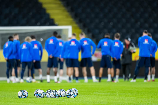 Players of the Swedish national football team