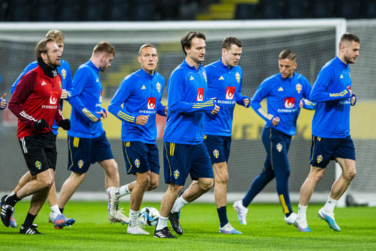 Hjalmar Ekdal of the Swedish national football team
