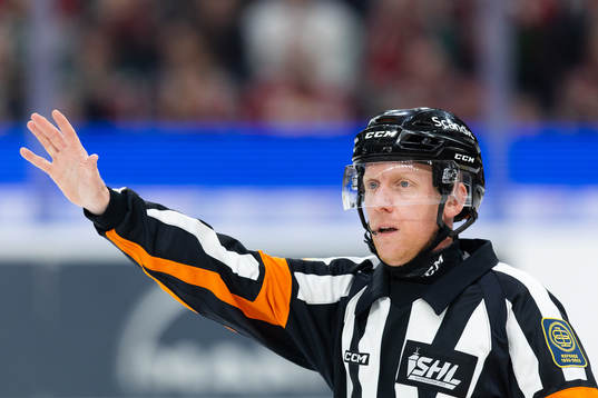 Domare Mikael Holm