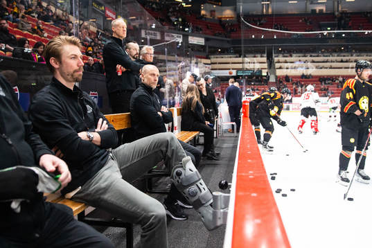 Brynäs Anton Rödin