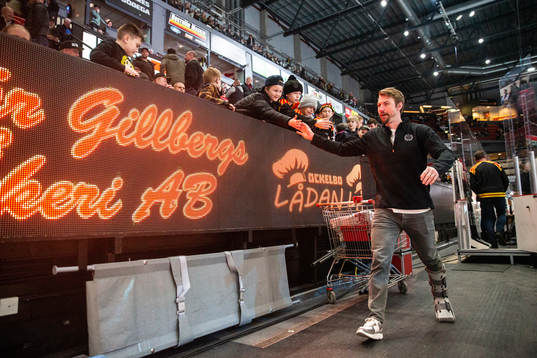 Brynäs Anton Rödin