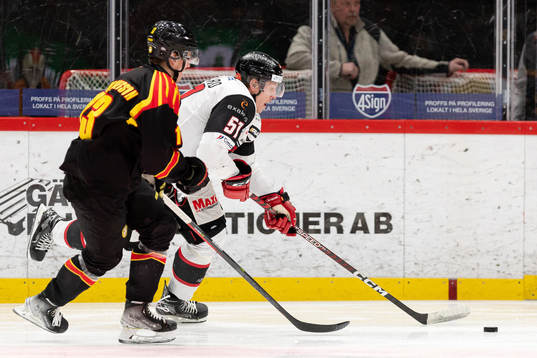 Brynäs Samuel Johannesson och Malmö Redhawks Emil