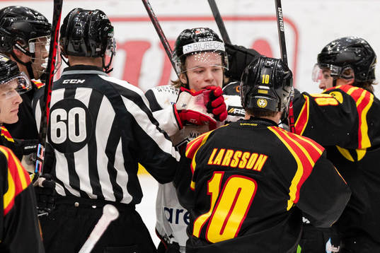 Malmö Redhawks Lukas Wernblom i bråk med Brynäs Johan