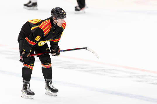 Brynäs David Sklenicka deppar