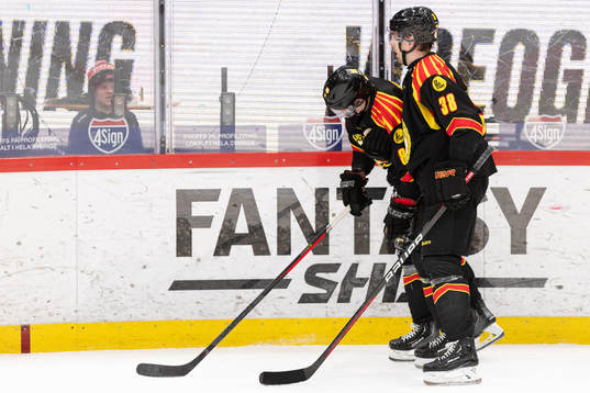 Brynäs Dmytro Timashov lämnar isen