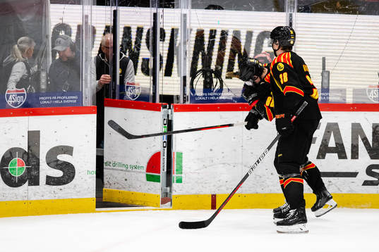 Brynäs Dmytro Timashov med skada