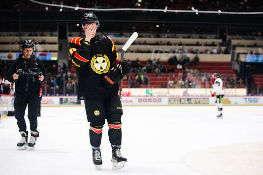Brynäs David Sklenicka deppar