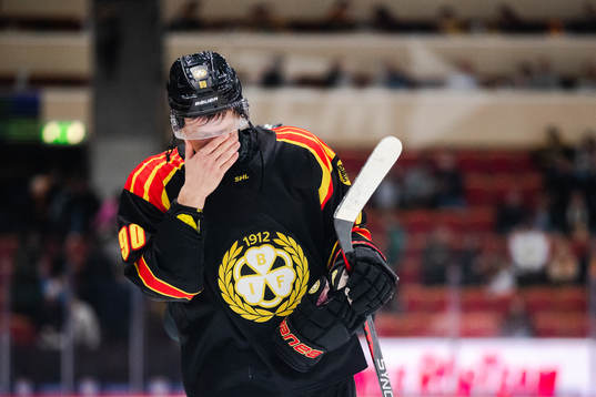 Brynäs David Sklenicka deppar