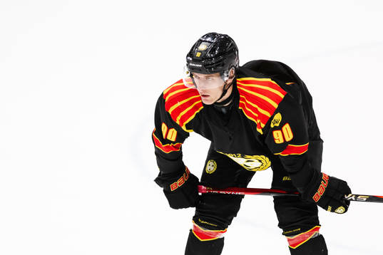 Brynäs David Sklenicka deppar