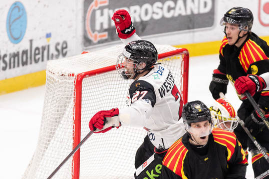 Malmö Redhawks Ponthus Westerholm jublar