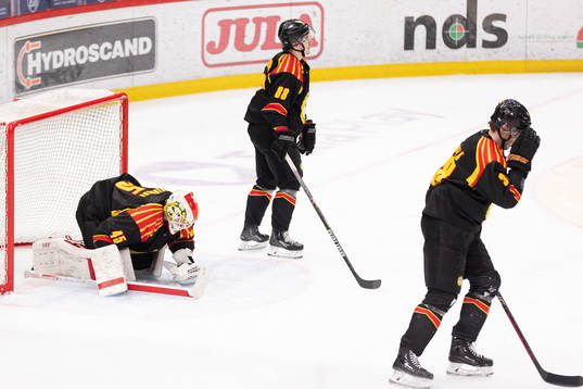Brynäs målvakt Jussi Olkinuora, Dmytro Timashov och Mikko