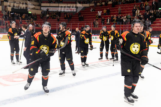 Brynäs Dmytro Timashov deppar