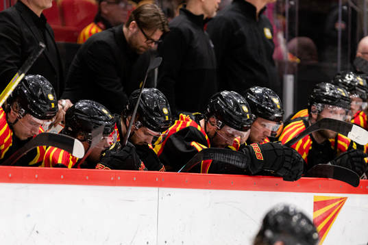 Brynäs spelare deppar