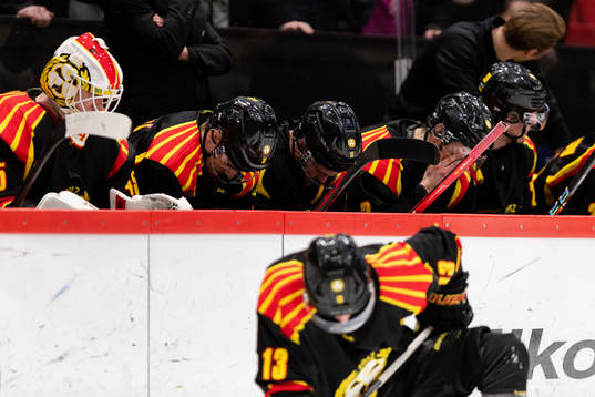 Brynäs spelare deppar