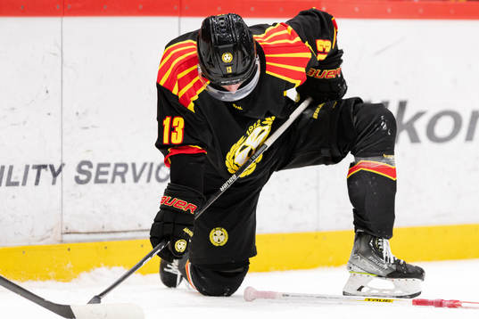Brynäs Samuel Johannesson deppar
