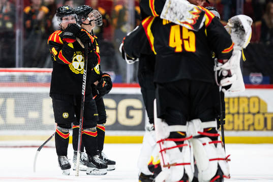 Brynäs Dmytro Timashov deppar