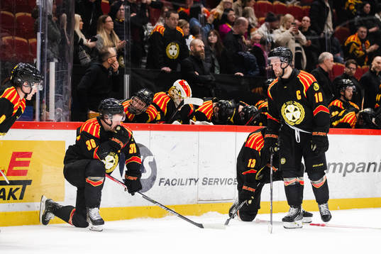 Brynäs Johan Larsson deppar