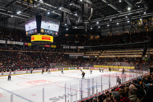 Monitor ERP Arena