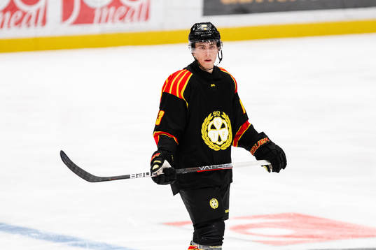Brynäs Samuel Johannesson