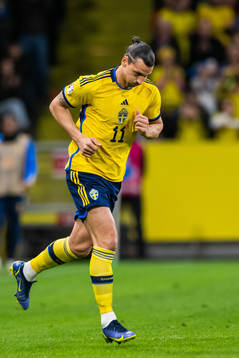Zlatan Ibrahimovic of Sweden is substituted