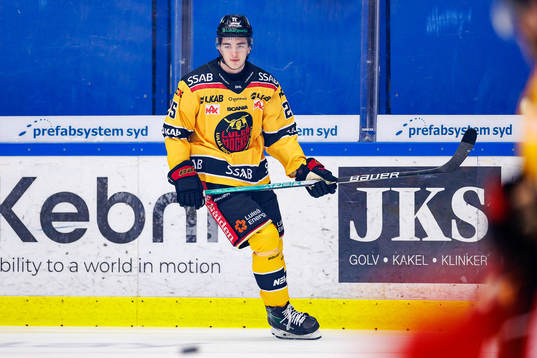Luleås Joel Kant