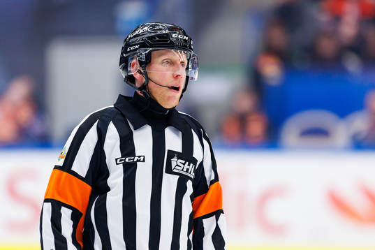 Domare Mikael Holm