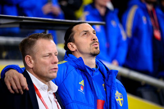Zlatan Ibrahimovic of Sweden