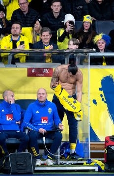 Zlatan Ibrahimovic of Sweden