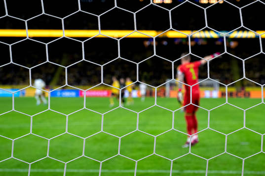 A goal net