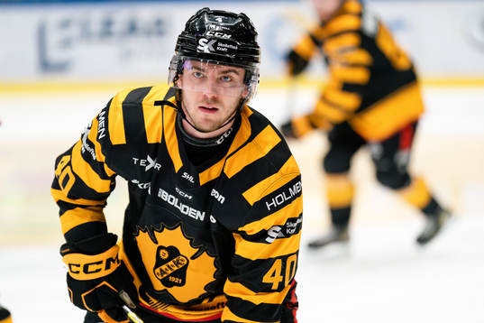 Skellefteå AIKs Andreas Wingerli