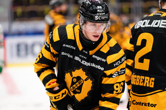 Skellefteå AIKs Rickard Hugg