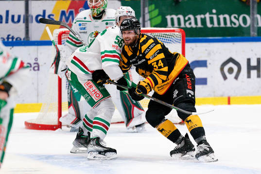 Skellefteå AIKs Tom Kuhnhackl och Rögles Adam Engström