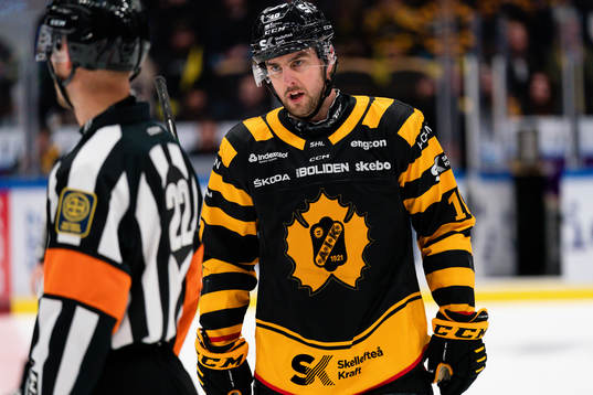 Domare Andreas Harnebring och Skellefteå AIKs Joakim