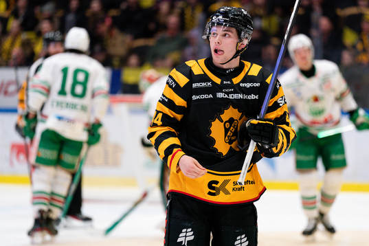 Skellefteå AIKs Elias Salomonsson