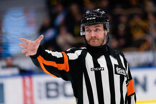 Domare Daniel Eriksson