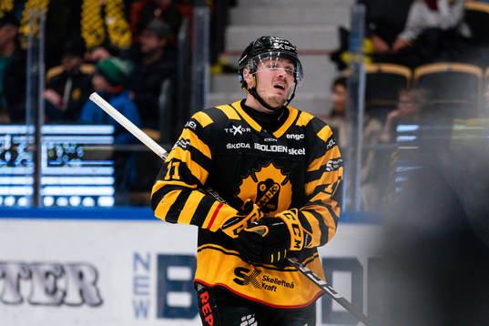 Skellefteå AIKs Max Lindholm deppar