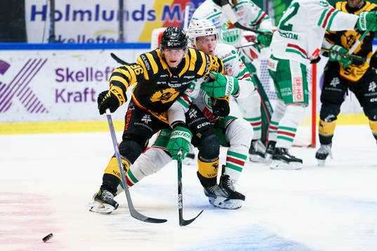 Skellefteå AIKs Rickard Hugg och Rögles Adam Engström