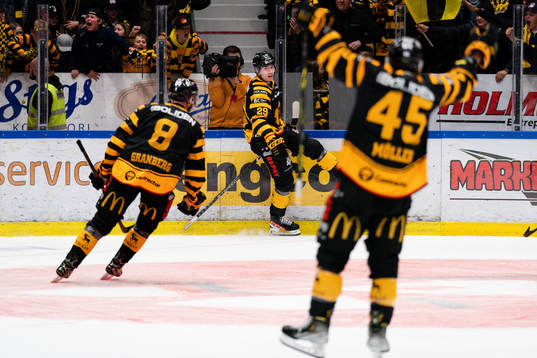 Skellefteå AIKs Albin Sundsvik